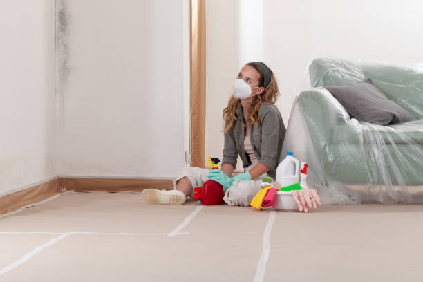 Reliable Mold Remediation contractor in Mendota, MN by WQB Mold Removal
